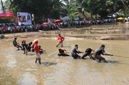 kambala12dec2 2